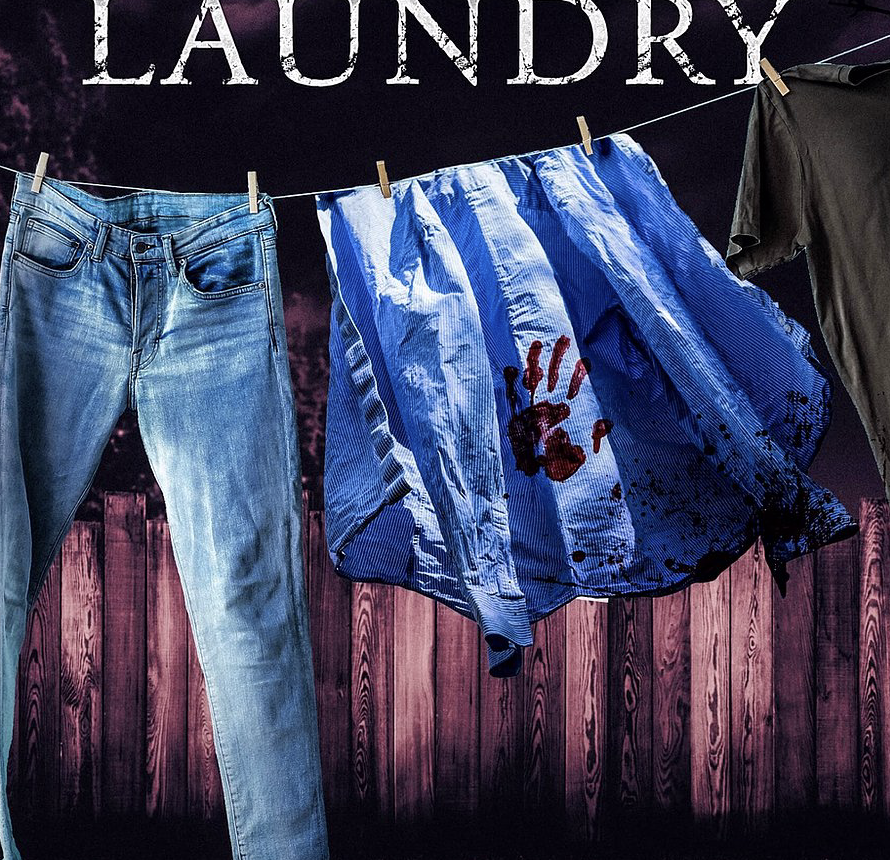 Dirty Laundry, Adult, Suspense, Novel
